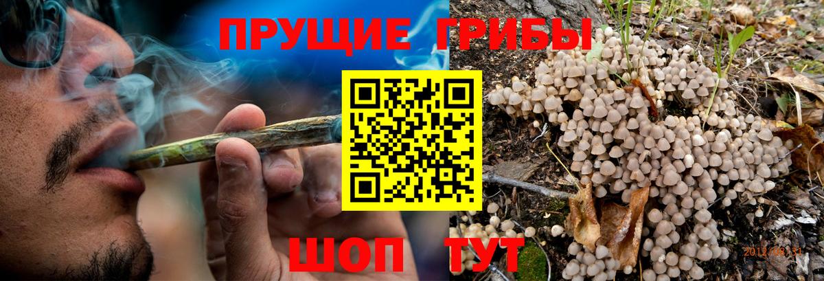 Анжеро-Судженск  Псилоцибиновые грибы MAGIC MUSHROOMS  Вход с VPN 